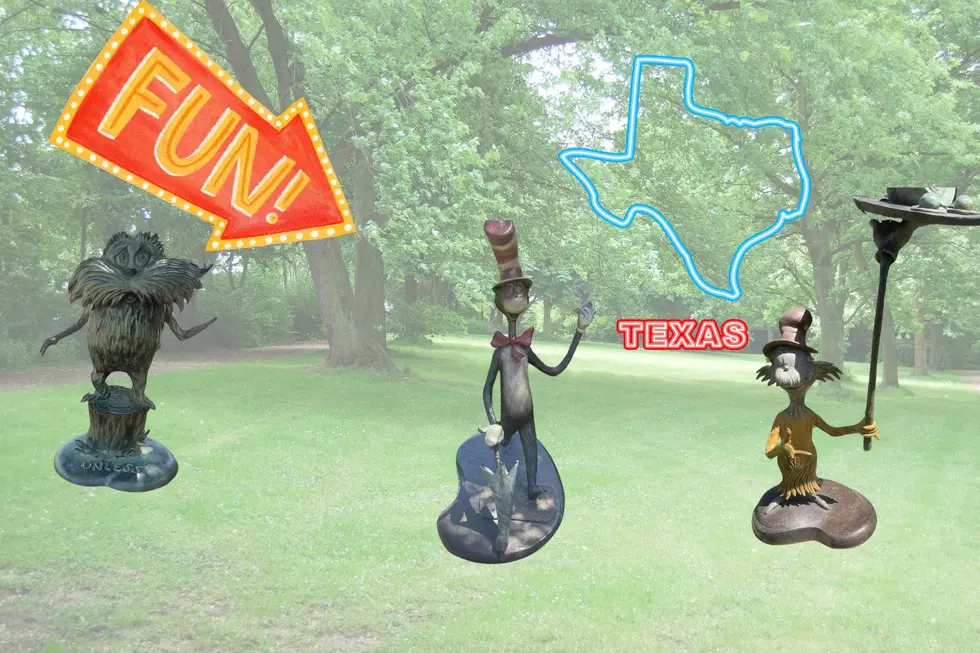 This Has to be One of the Coolest Free Parks in Texas