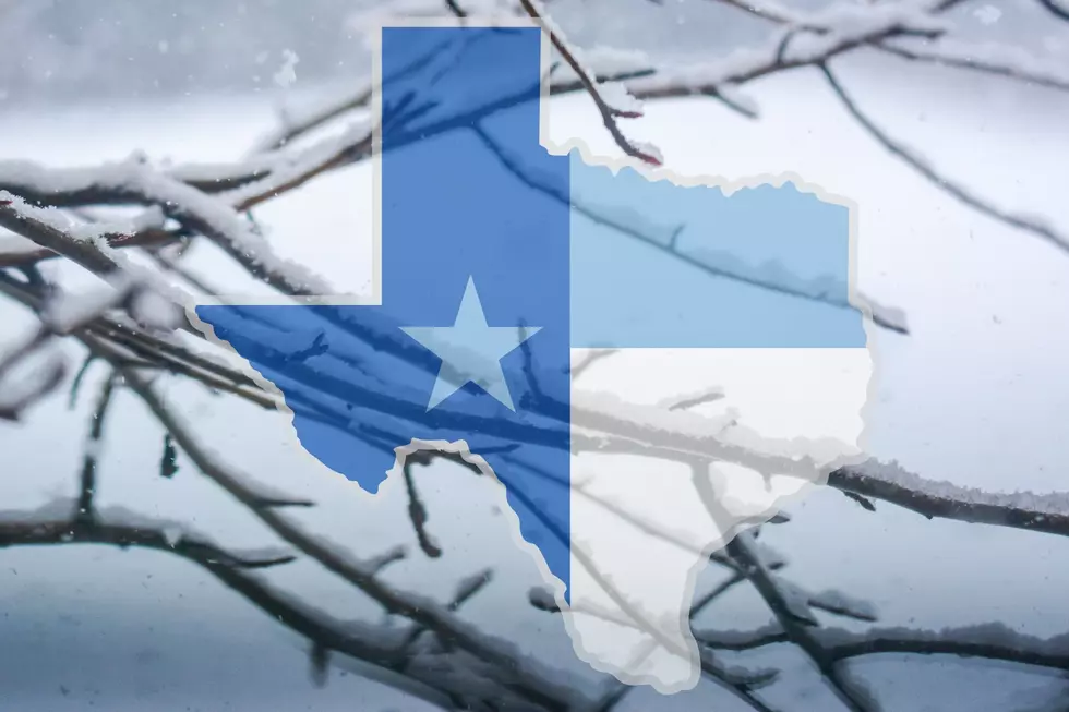 The First Predicted Freeze Of ’24 For Important Texas Cities