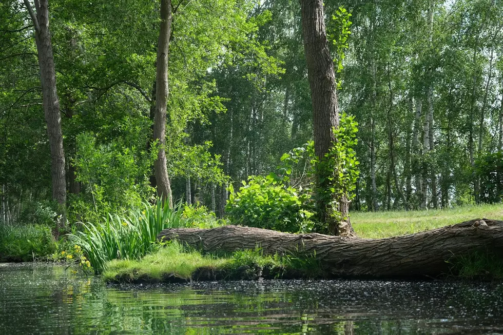 These Texas Lakes Rank Among the Most Polluted, According to TCEQ